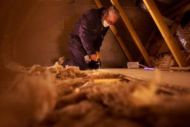 Best Residential Insulation in Niles, OH